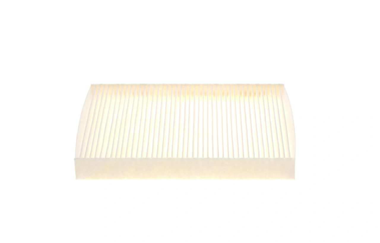 1987432072 Bosch Filtro antipolen