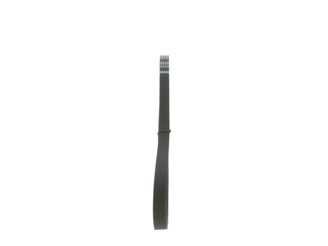1987946062 Bosch Correa poly v