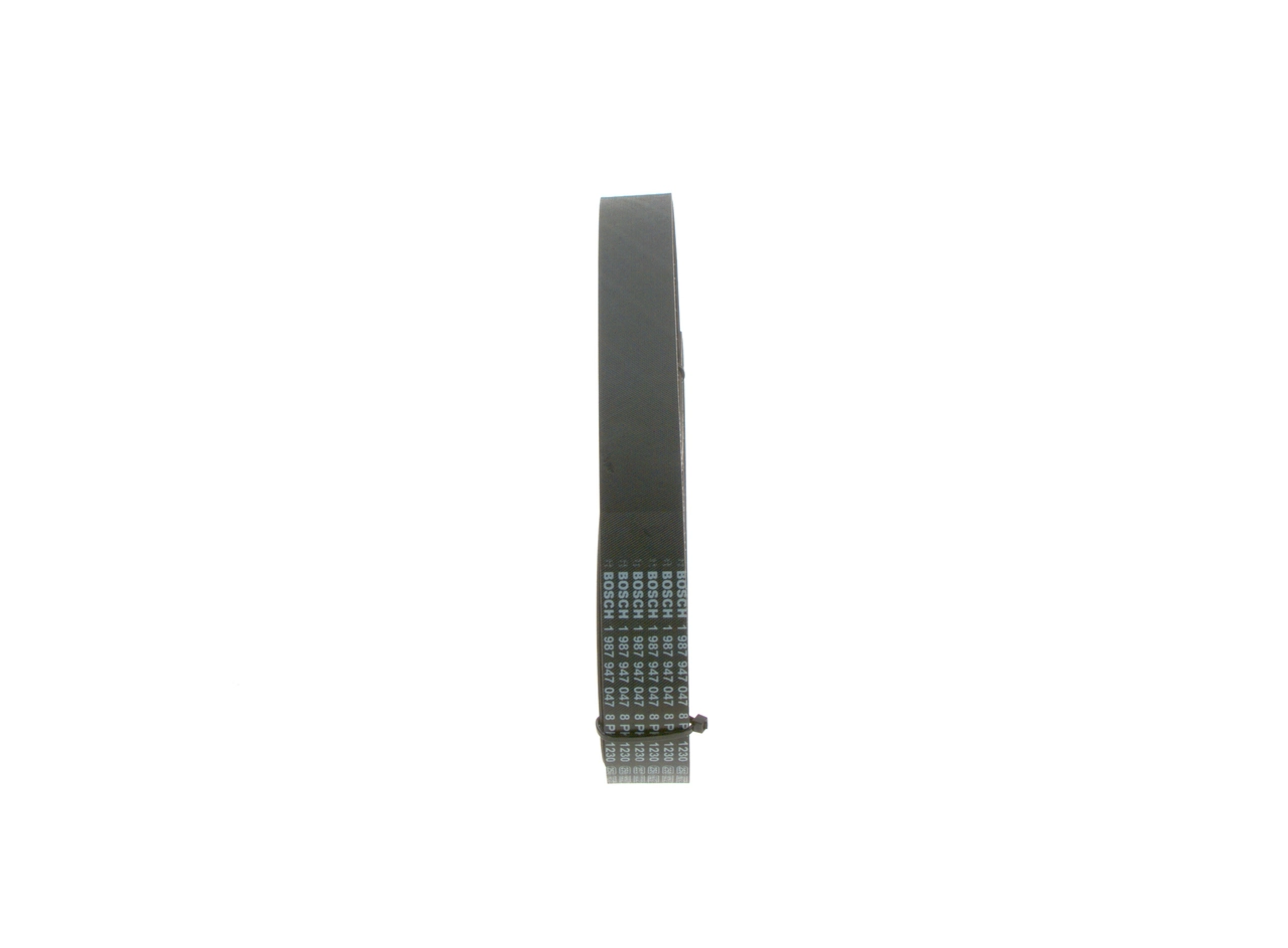 Comprar 8PK1780HD Dayco Correa trapezoidal
