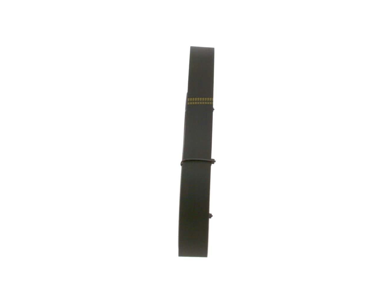 Correa de alternador 1893397 DAF