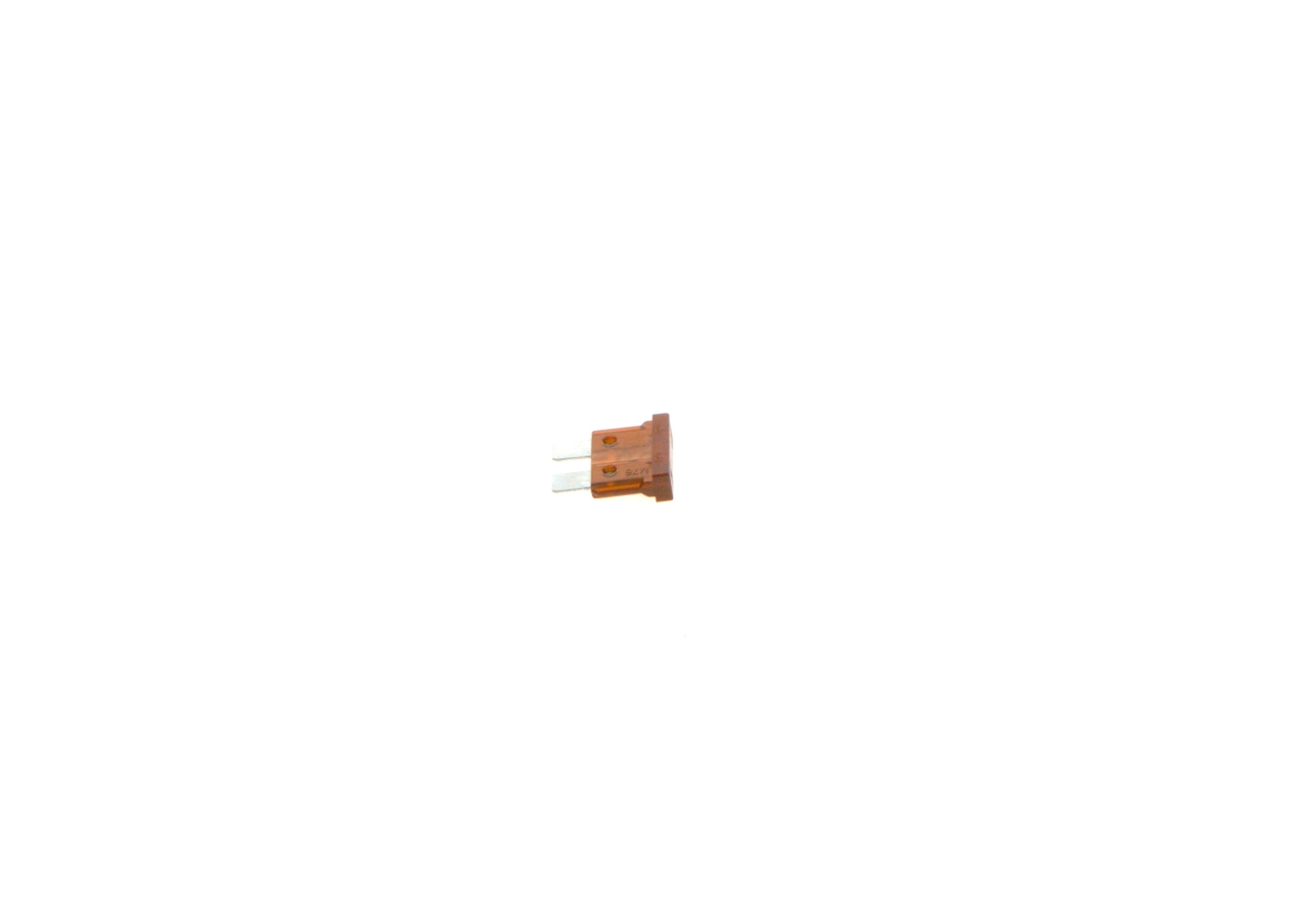1904529904 Bosch Fusibles