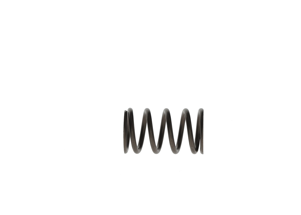 Muelle de las zapatas de freno traseras de tambor Bosch F00R0P1279 precio, desde 4,11 EUR
