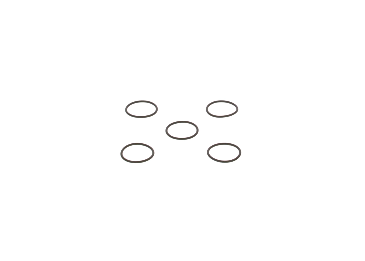 2440210026 Bosch Anillo de estanqueidad de la bomba de cebado