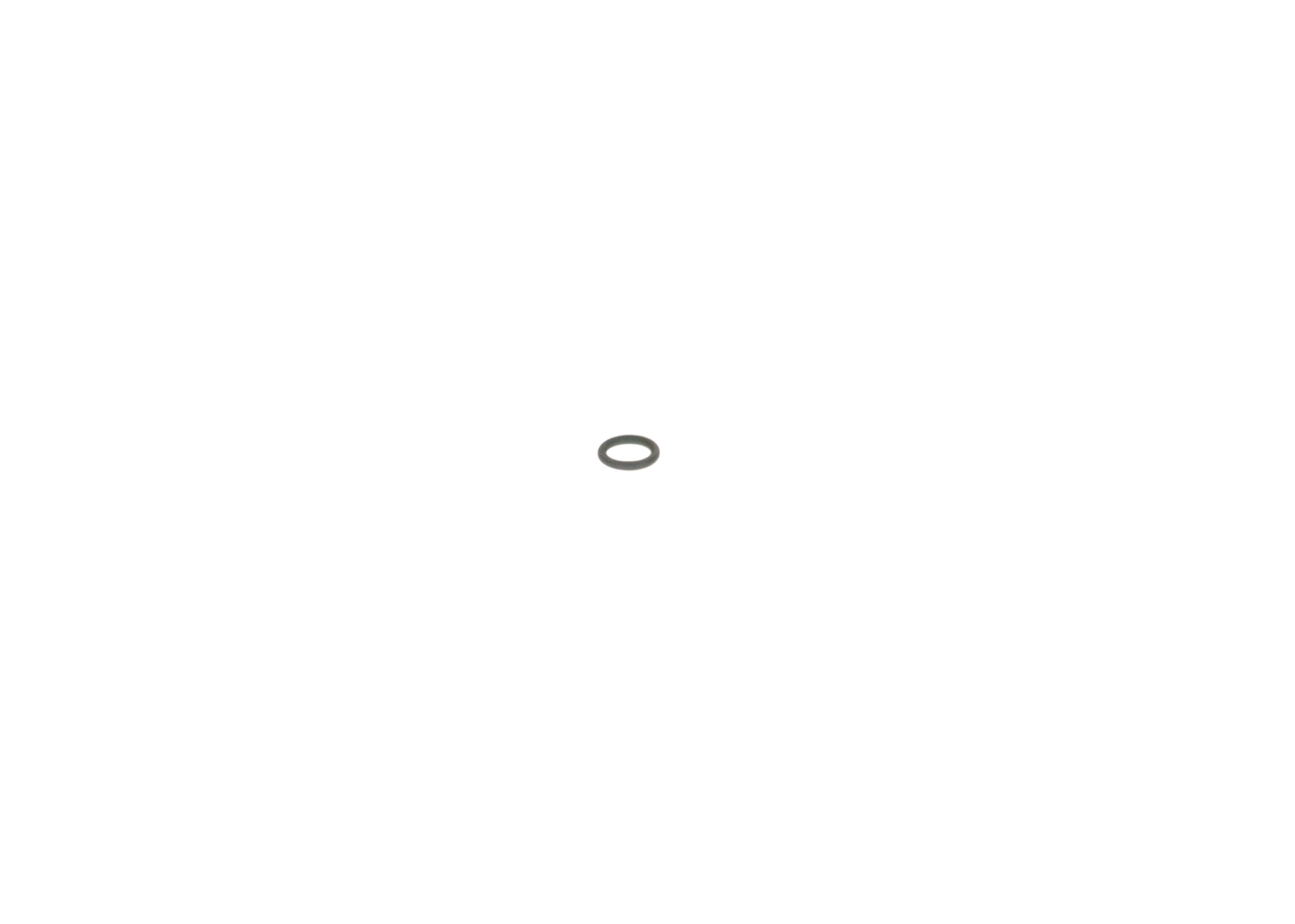 2440210010 Bosch