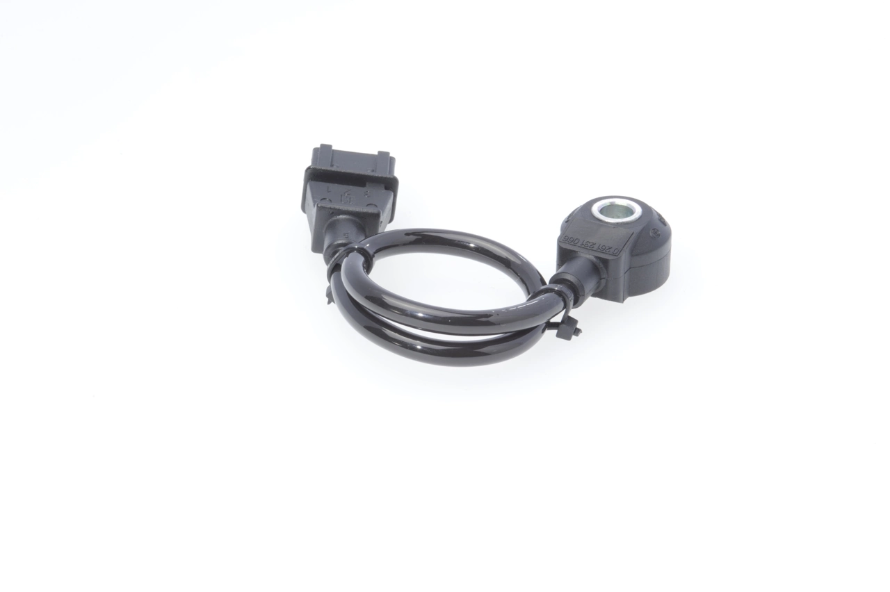 0261231066 Bosch Sensor de detonación
