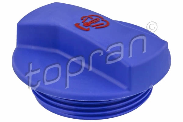 Precio del repuesto Tapa de depósito de agua A3  hatchback
