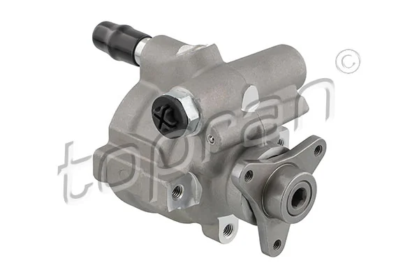 Bomba de dirección hidráulica Duster  SUV (2010-2018) original desde 98,21 €
