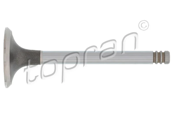101517 Hans Pries (Topran)