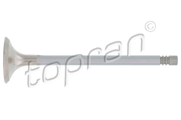 110202 Hans Pries (Topran)
