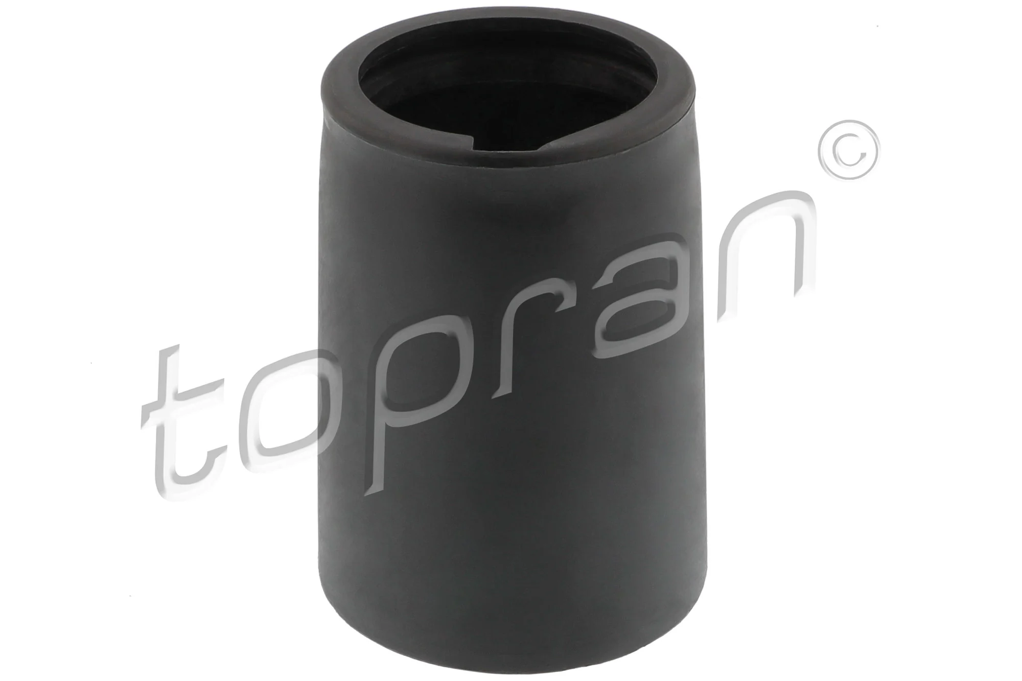 102831 Hans Pries (Topran)