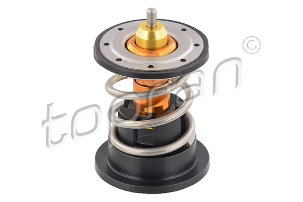 Comprar Termostato refrigerante Cooper  R56
