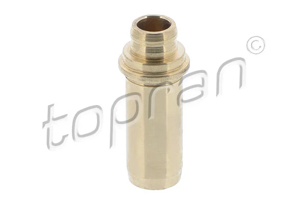 Guía de válvula de motor Audi A3  (8L1)