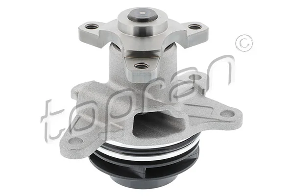 Motor de agua Trafic III plataforma a bordo (2014-2026) original desde 57,17 €