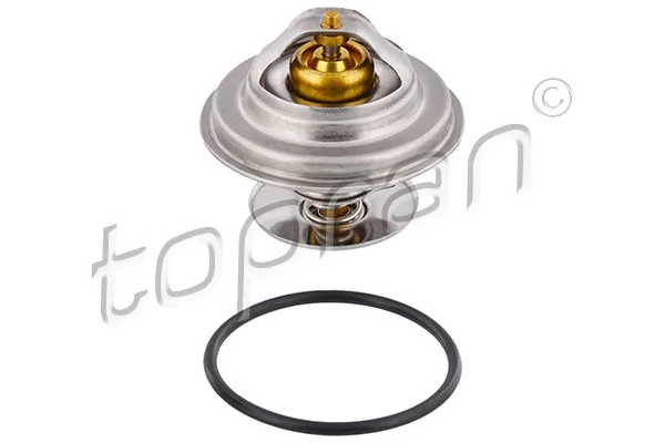 Termostato para Mercedes S W140