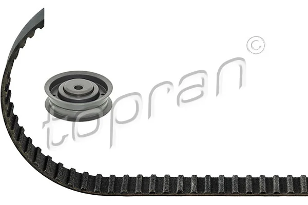 Juego de correas dentadas Audi 100  desde 37,83 €