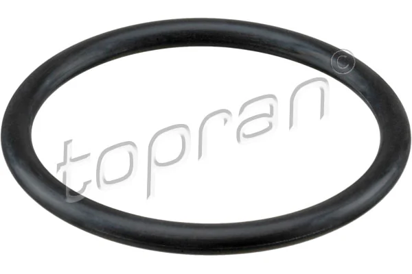113884 Hans Pries (Topran)