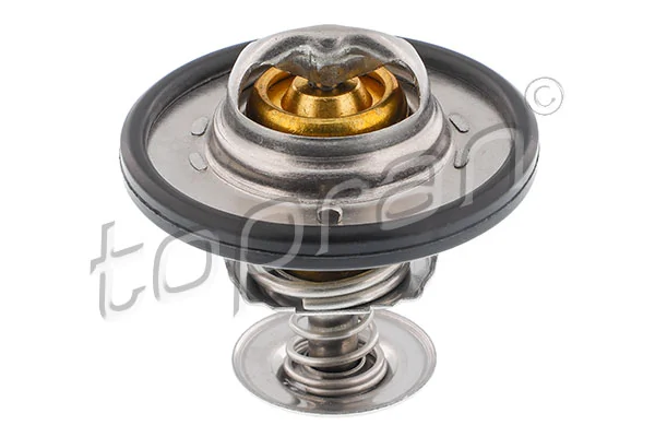 Termostato refrigerante Ford Transit  desde 12,97 €