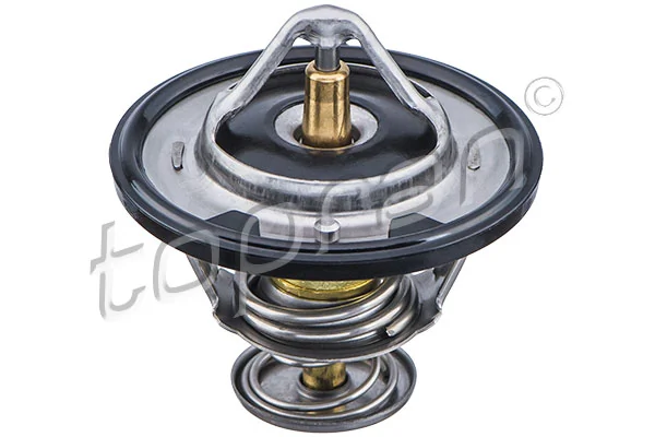 Termostato refrigerante para Hyundai Sonata  (EU4)