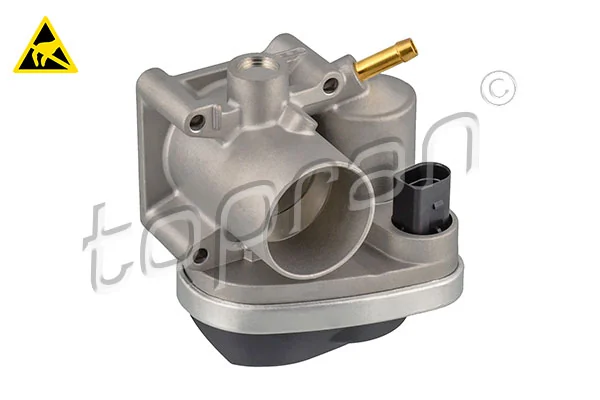 Mariposa de admisión Volkswagen Golf IV (1999-2006)