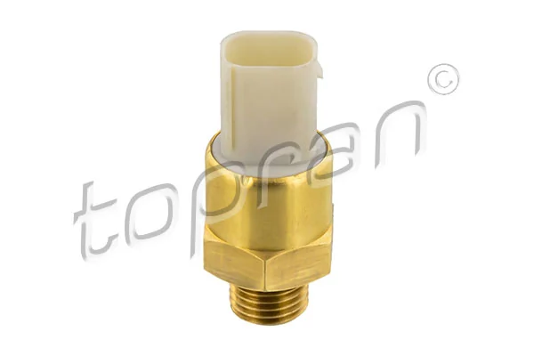 Sensor de temperatura  BMW 5  desde 21,21 €