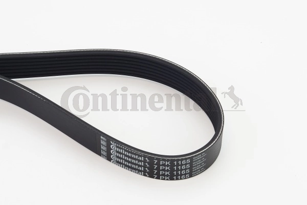 7PK1165 Continental/Siemens Correa poly v