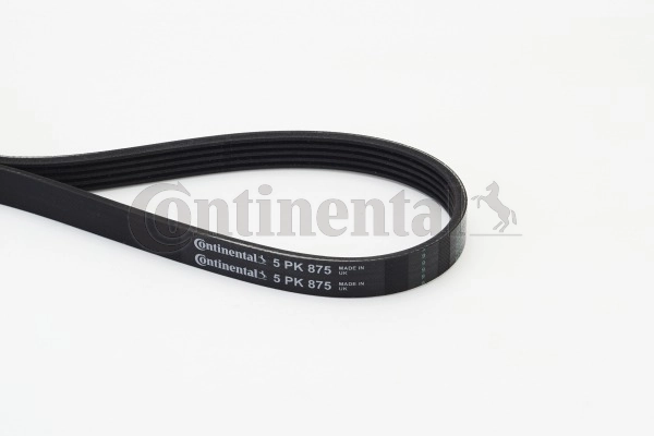5PK875 Continental/Siemens Correa poly v