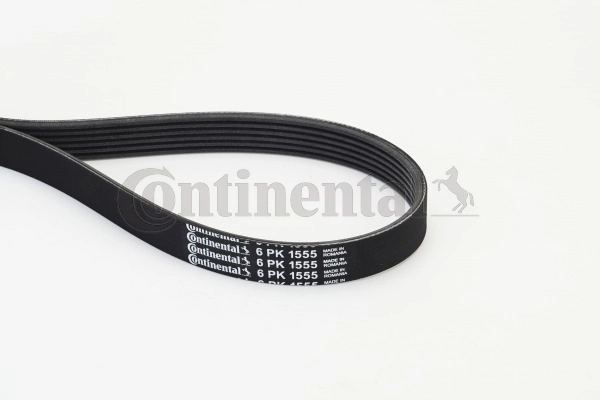 6PK1555 Continental/Siemens Correa poly v