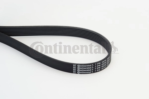 7PK1970 Continental/Siemens Correa poly v