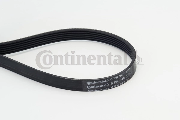 6PK948 Continental/Siemens Correa poly v