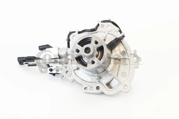 WPS3183 Continental/Siemens