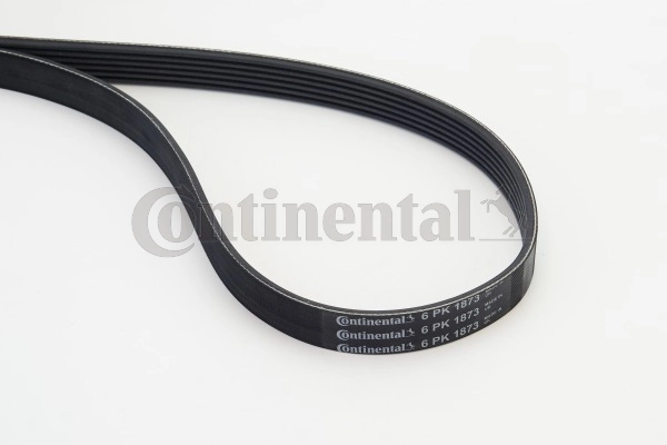 6PK1873 Continental/Siemens Correa poly v