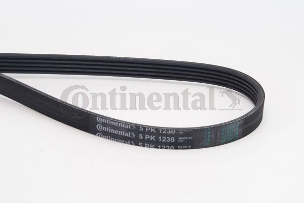 5PK1230 Continental/Siemens