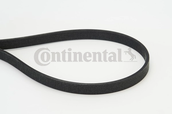 6DPK1817 Continental/Siemens Correa poly v