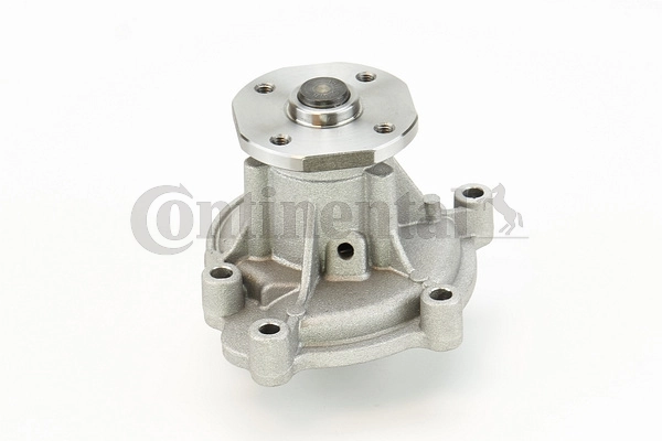 WPS3046 Continental/Siemens