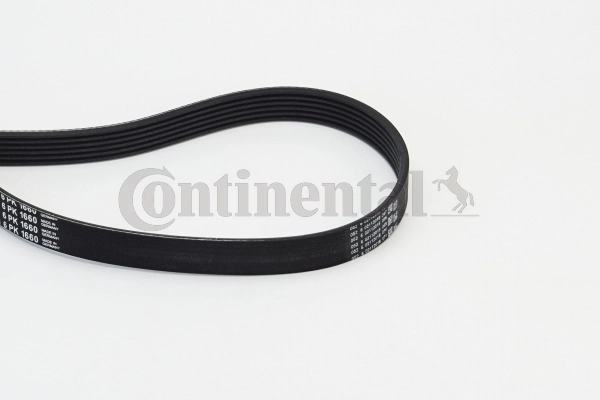 6PK1660 Continental/Siemens Correa poly v