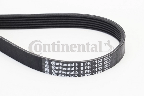 6PK1153 Continental/Siemens Correa poly v