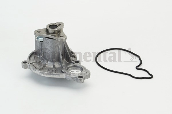 WPS3196 Continental/Siemens