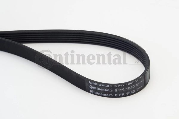 6PK1840 Continental/Siemens Correa poly v