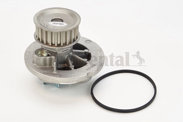 WP6033 Continental/Siemens