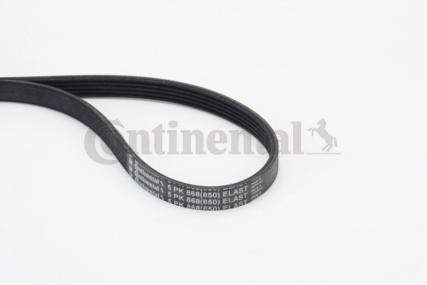 5PK868ELAST Continental/Siemens Correa poly v