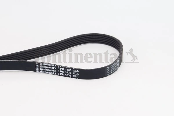 6PK1836 Continental/Siemens Correa poly v
