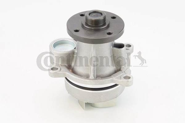 WP6135 Continental/Siemens