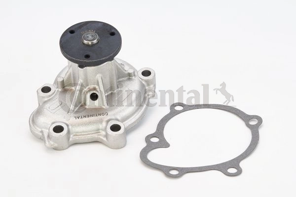 WPS3009 Continental/Siemens