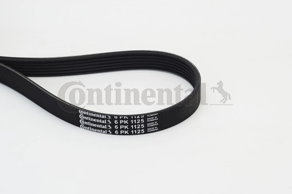 6PK1125 Continental/Siemens Correa poly v