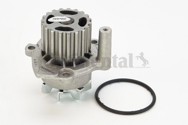 WP6001 Continental/Siemens Bomba refrigerante coche