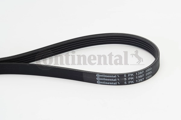 5PK1397 Continental/Siemens Correa poly v