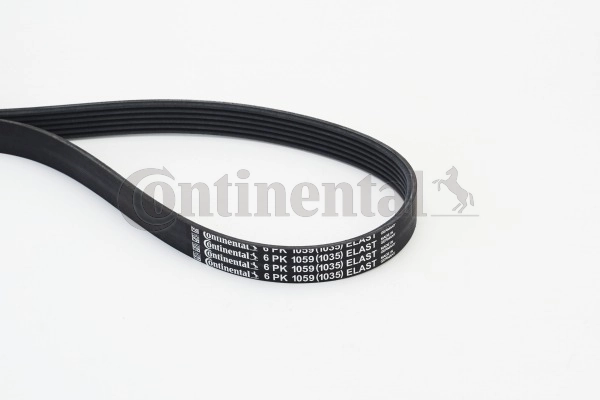 6PK1059ELAST Continental/Siemens Correa poly v