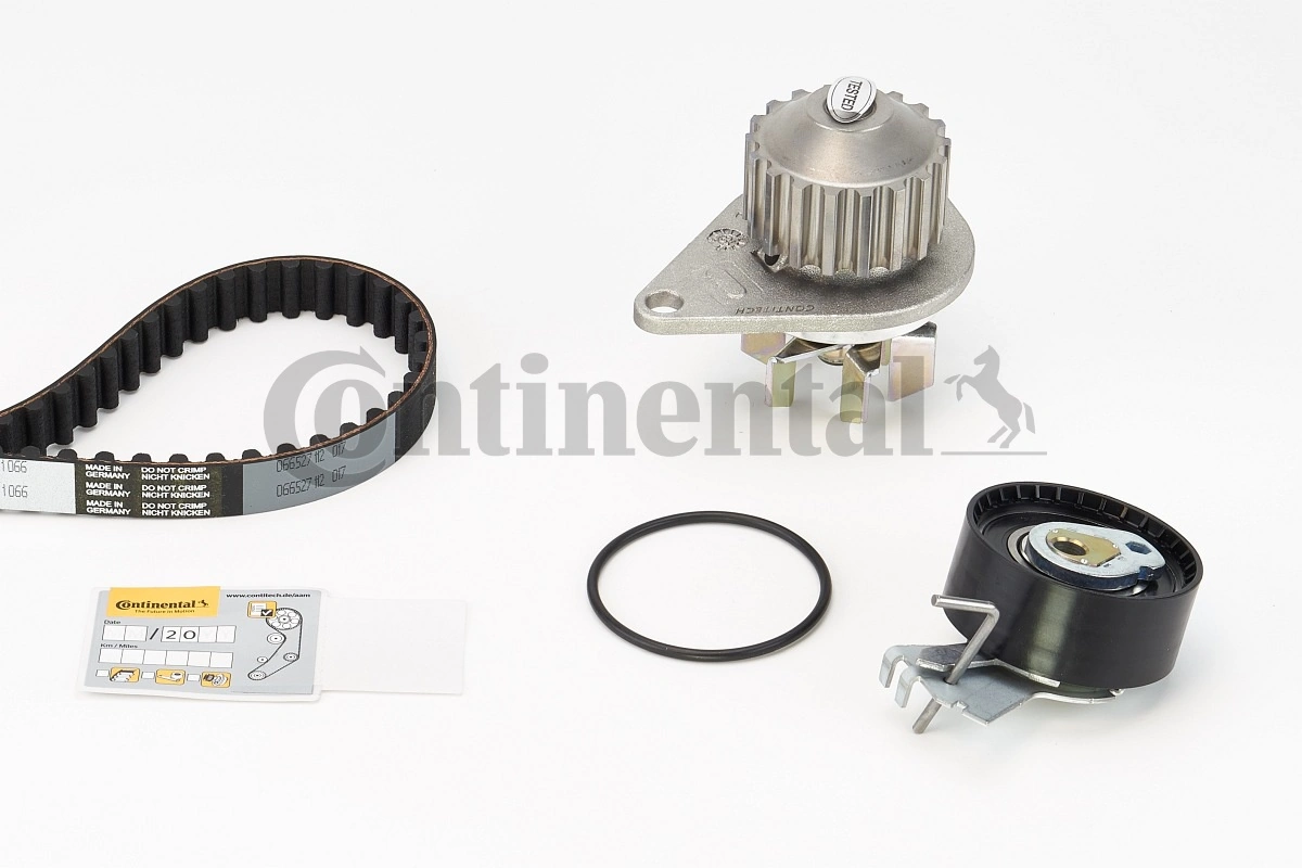 CT1066WP1 Continental/Siemens