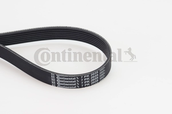 7PK2035 Continental/Siemens Correa poly v