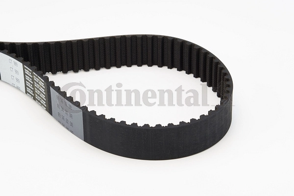 Correa de distribución Continental/Siemens CT989 precio, desde 60,43 EUR